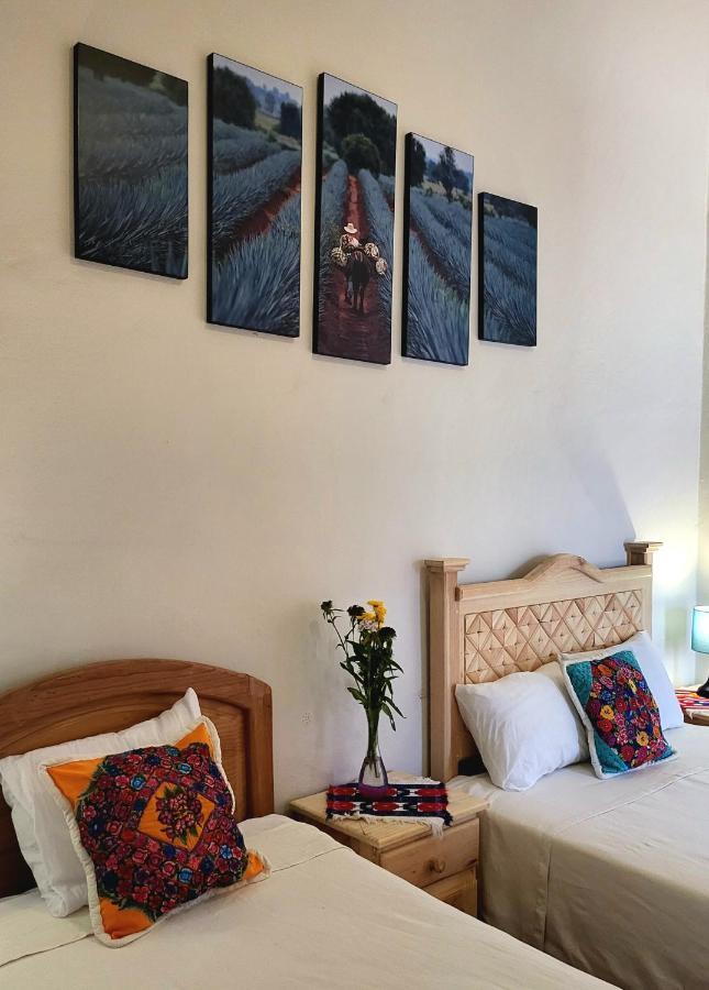 Casa Los Arquitos B&B Oaxaca Exteriér fotografie